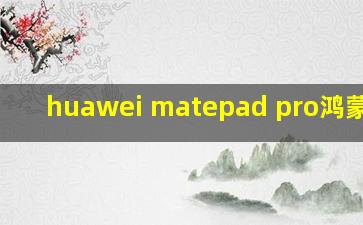 huawei matepad pro鸿蒙系统